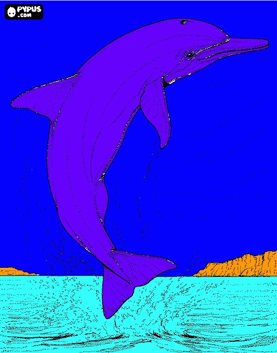 για ζωγραφικήτο γελαστο δελφίνι πηδώντας έξω από το νερό