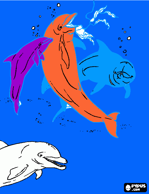 για ζωγραφική3 δελφινια