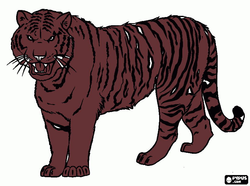 για ζωγραφικήtigris