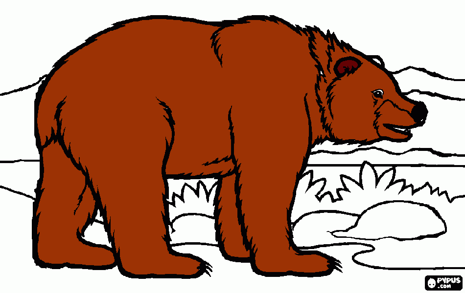 για ζωγραφικήπολικη αρκουδα
