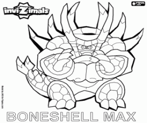 για ζωγραφική Boneshell Max, Tai Invizimal