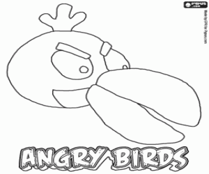 για ζωγραφική Green Bird, πουλί του Angry Birds