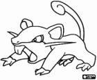 Rattata - Pokémon Κανονική τύπου, γρήγορη επίθεση αρουραίος