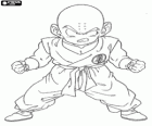 Krillin είναι η πρώτη αντίπαλος της κατάρτισης Son Goku με Master Roshi και γίνεται ο καλύτερος φίλος του