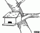 Χώρισμα ατομικής φωλιάς ή birdhouse σε κλαδί δέντρου