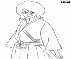 Rukia Kuchiki είναι ένα Shinigami με τη φυσική εμφάνιση του ένα εφηβικό κορίτσι