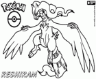 Reshiram, θρυλικό Pokémon, δράκων / φωτιά. Pokémon Μαύρο μασκότ