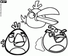 Τρία από τα πτηνά από Angry Birds