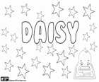 Daisy, την προέλευσή του είναι το όνομα στα αγγλικά του ένα λουλούδι, τη Μαργαρίτα