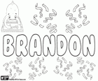 Brandon, όνομα αγγλικής προέλευσης. Ήταν αρχικά ένα επώνυμο που σημαίνει ενός κατάφυτου λόφου με κύτισος