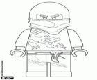 Πολεμιστής ninja, Lego Ninjago