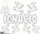 Ignacio, όνομα με διάφορες προέλευση και έννοιες. Ο Ιγνάτιος Λογιόλα, ιδρυτής της εταιρείας του Ιησού, οι Ιησουίτες