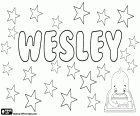 Wesley, όνομα αγγλικής προέλευσης, με διάφορες προέλευσης. Σύντομη μορφή του Wesleydale ονόματος