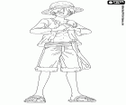 Καπετάνιος Monkey D. Luffy με το διάσημο καπέλο αχύρου στο κεφάλι του σε One Piece New World