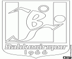 Ασπίδα της Balikesirspor Kulübü Derneği, αθλητικό σωματείο από τη πόλη της Μπαλικεσίρ, πρωτεύουσα της επαρχίας με το ίδιο όνομα στην περιοχή του Μαρμαρά, στην την Δυτική Ανατολία