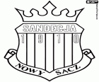 Έμβλημα του Σαντέτσια Νόβι Σατς, Miejski Klub Sportowy Sandecja Nowy Sącz, λέσχη ποδοσφαίρου βασίζονται σε Νόβι Σατς, πόλη στη συμβολή των ποταμών Kamienica και Dunajec, στη νότια της Πολωνίας, το Μαλοπόλσκιε Βοϊβοδάτο