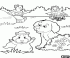Οι τρεις ήρωες Wonder Pets παίζουν στον κήπο με το σκύλο