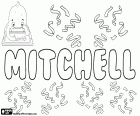 Το Mitchell και η παραλλαγή του Mitchel, αρσενικό όνομα στα αγγλικά, σκωτσέζικα και ιρλανδικά, έχει διαφορετική ετυμολογική προέλευση, όλα προέρχονται από τα ονόματα Michael ή Michel