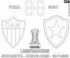 Ατλέτικο Μινέιρο vs. Μποταφόγκο, τελικός Copa Libertadores 2024, Estadio Monumental στο Μπουένος Άιρες, Αργεντινή