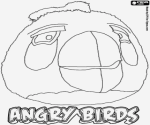 για ζωγραφική White Bird, Angry Birds