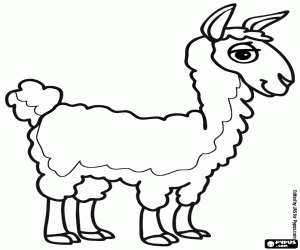 για ζωγραφική Ένα vicuña από τις Άνδεις