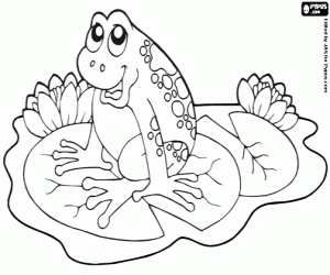 για ζωγραφική Ένα βάτραχο σε ένα Νούφαρο