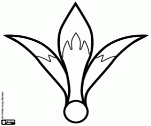 για ζωγραφική Ένα λουλούδι Αμαρυλλίς