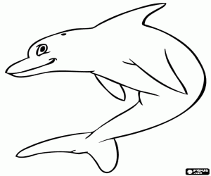 για ζωγραφική Ένα νεαρό δελφίνι