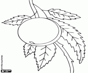 για ζωγραφική Ένα ροδάκινο στο δέντρο