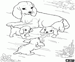 για ζωγραφική Ένα σκυλί μαμά με τα νεογνά