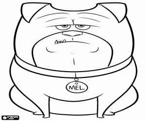 για ζωγραφική Ένα σκυλί συντροφιάς, Μελ