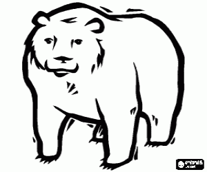 για ζωγραφική Ένα τέσσερις-με πόδια ενηλίκων αρκούδα