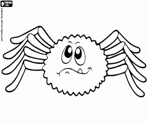 για ζωγραφική Αράχνη έρημο