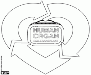 για ζωγραφική Δωρεά και μεταμόσχευση οργάνων