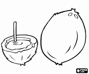 για ζωγραφική Δύο καρύδες