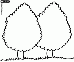 για ζωγραφική Δύο κυπαρίσσια, κυπελρέσος