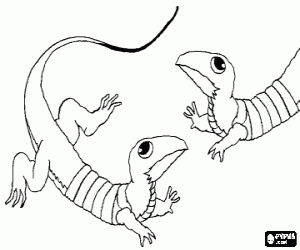 για ζωγραφική Δύο σαύρες πρόσωπο με πρόσωπο