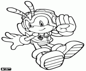 για ζωγραφική Η μέλισσα του Sonic, Charmy Bee