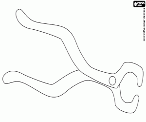 για ζωγραφική Η πένσα του οδοντιάτρου