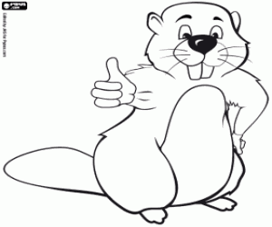 για ζωγραφική Κάστορας