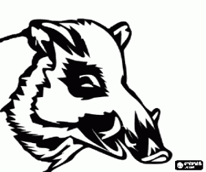 για ζωγραφική Κεφαλή αγριογούρουνου με χαυλιόδοντες