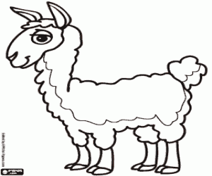 για ζωγραφική Λάμα, το ζώο των Ίνκας