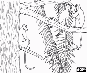 για ζωγραφική Με μακριά ουρά πίθηκοι στο δέντρο