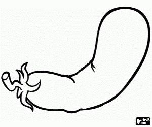 για ζωγραφική Μελιτζάνα, μια βρώσιμα φρούτα