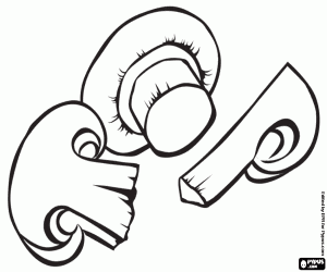 για ζωγραφική Μερικά μανιτάρια κομμένα