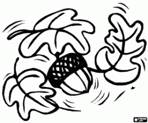 για ζωγραφική Μερικά φύλλα δρυός και μια εταιρία acorn