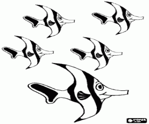 για ζωγραφική Πολλά ψάρια και κοραλλιογενείς υφάλους