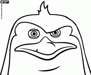 για ζωγραφική Πρόσωπο της Ρίκο, χτενισμένες πιγκουίνος