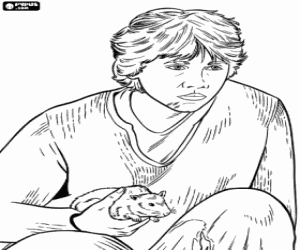 για ζωγραφική Ρον με τον αρουραίο στο χέρι