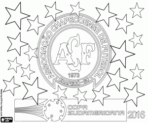 για ζωγραφική Σαπεκοένσε, Κόπα Σουνταμερικάνα 2016